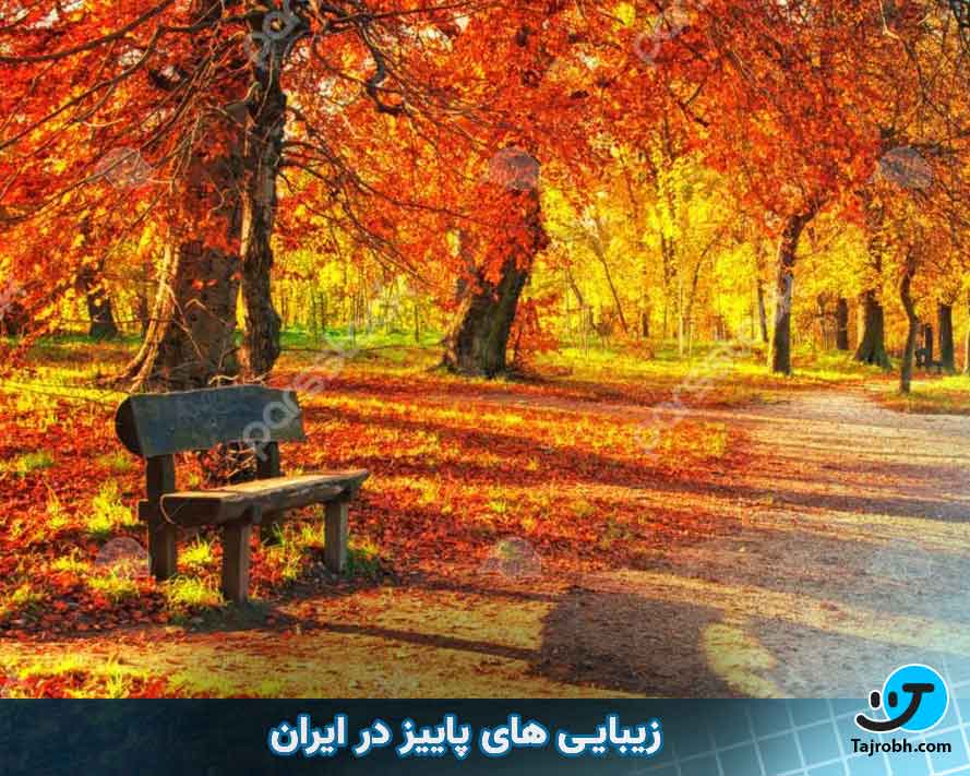 پاییز کجا بریم 