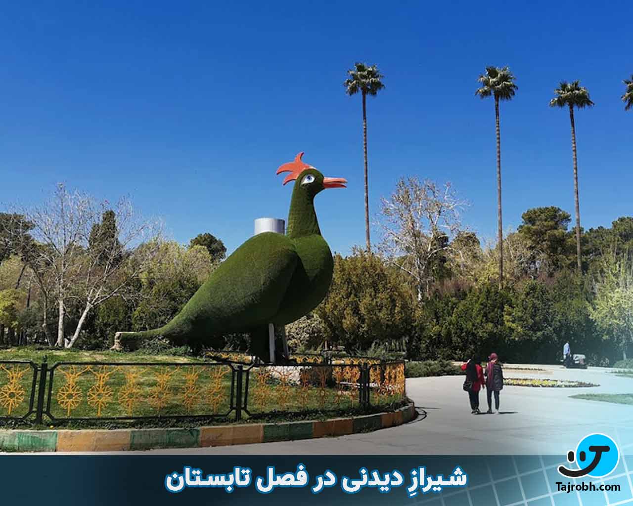 جاهای دیدنی شیراز در تابستان 