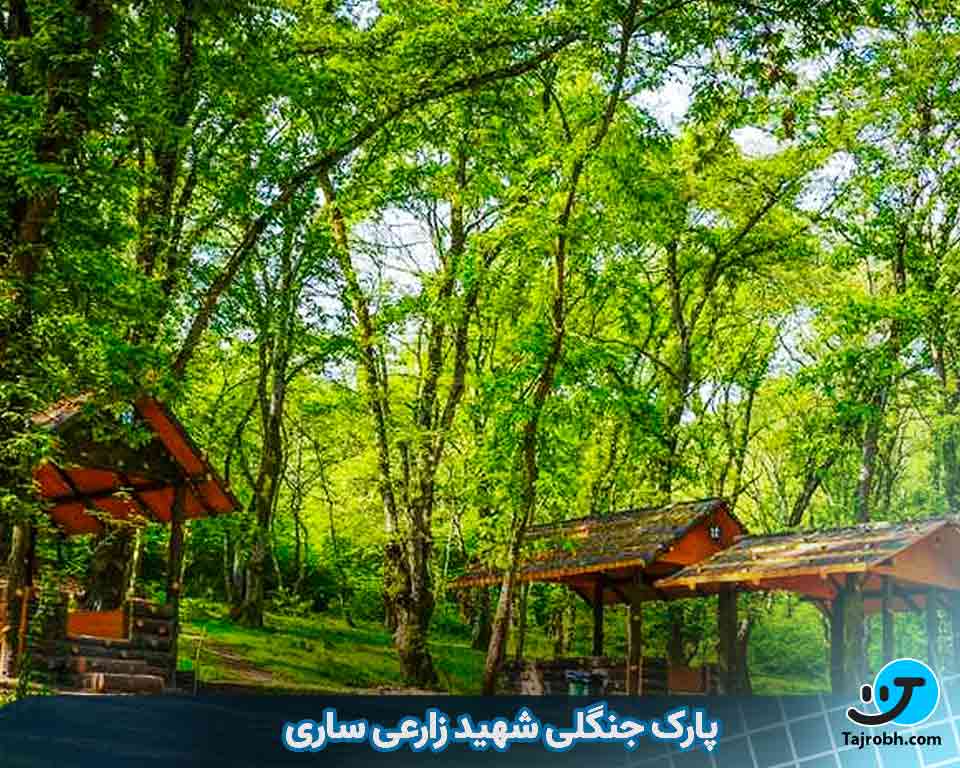 جاهای دیدنی ساری در شب