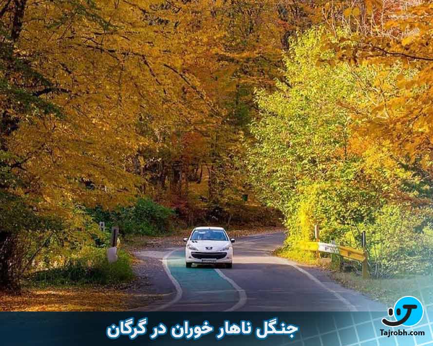 پاییز کجا سفر کنیم