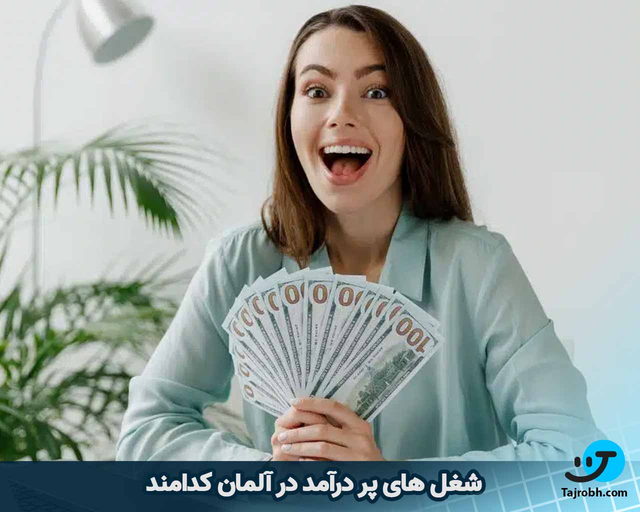 پردرآمدترین مشاغل در المان 