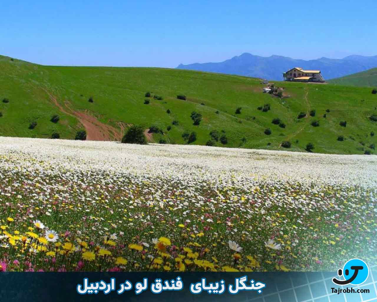 اردبیل کجا بریم 