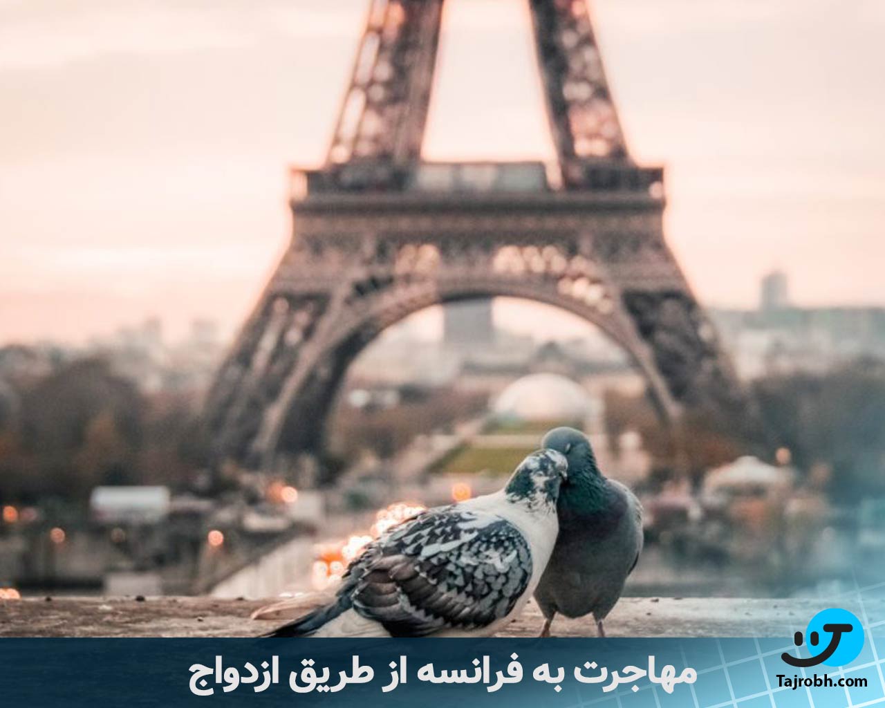 مهاجرت به فرانسه از طریق کار