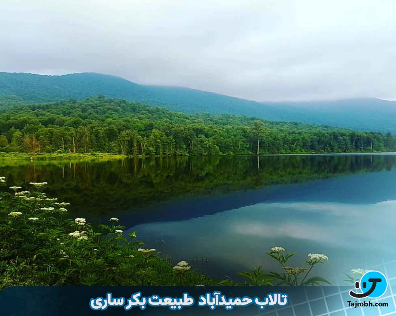 جاهای دیدنی ساری 