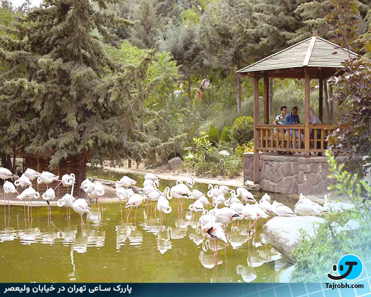 جاهای دیدنی تهران 