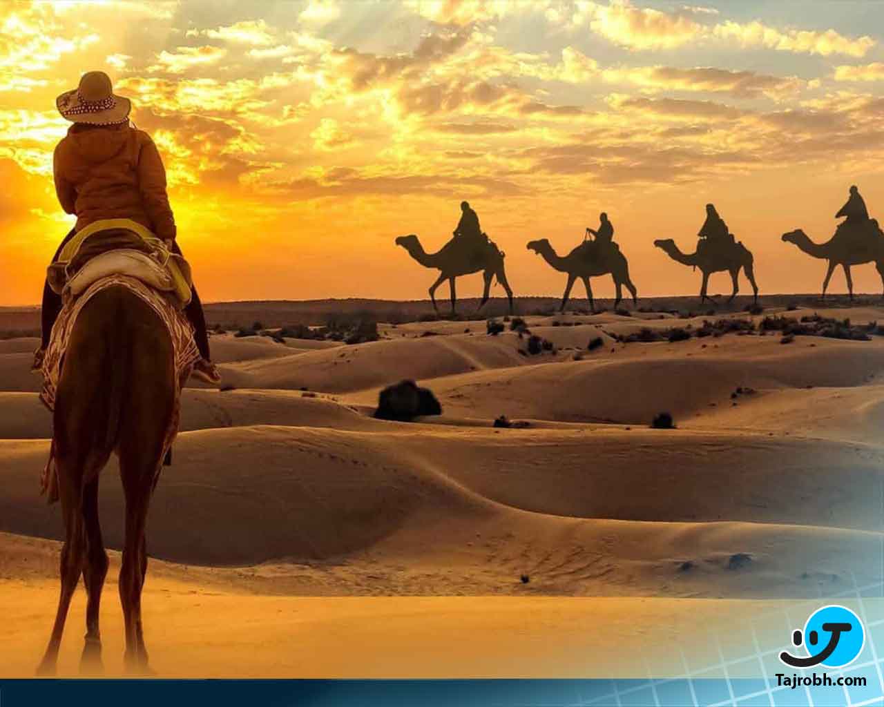 سافاری دبی چیست