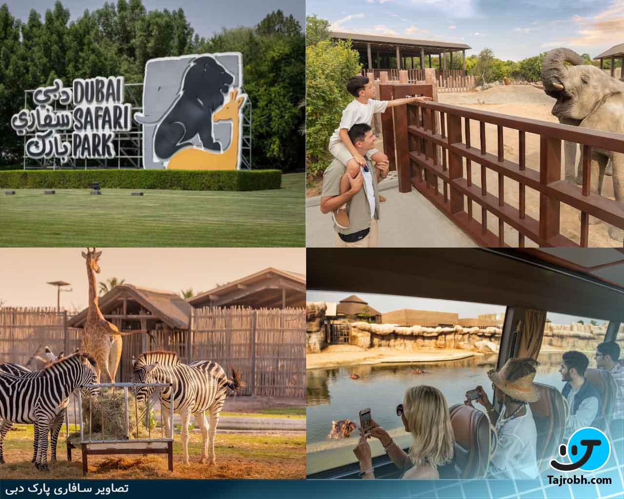 سافاری پارک دبی کجاست؟